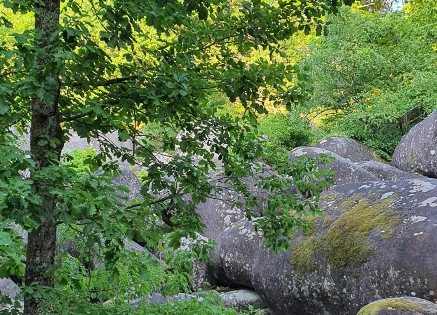 Gite Un Chalet En Sidobre Lacrouzette 0*,  Fransa
