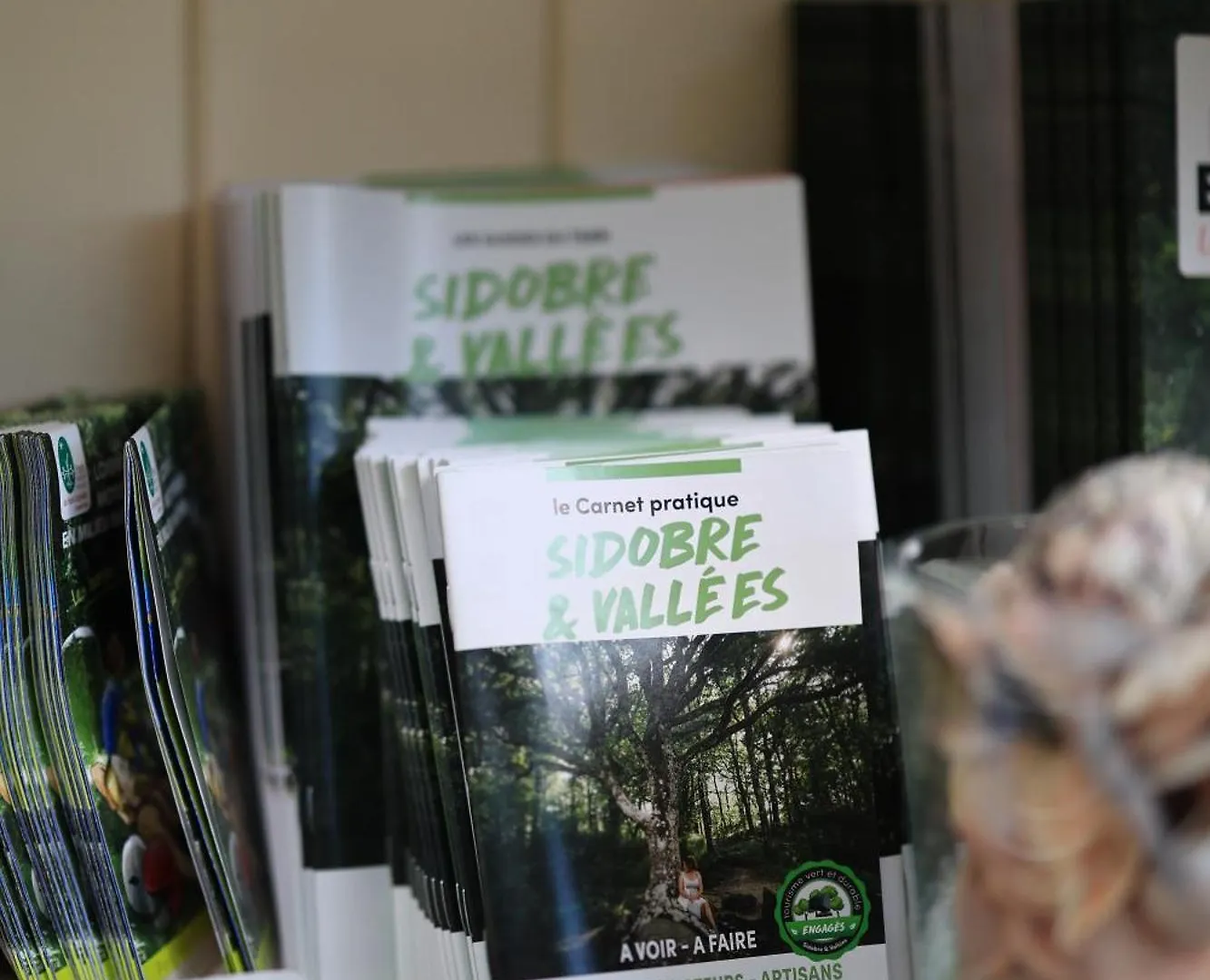 Gite Un Chalet En Sidobre Lacrouzette Fransa